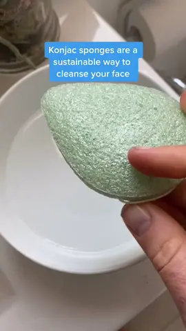 I don’t use cleansers anymore just this and my skin has never been better 💚#konjacsponge #SustainableBeauty #zerowastebeauty #compostable