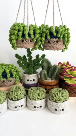 What's in your🌵🌿 garden? All my real plants are 💀 #crochettok #crochetaddict #crochetaddiction #crochettutorial #amigurumitoys #amigurumilove #crochetersoftiktok #crochetpatterns #fyp #viral #crochetplant #crochetplanthanger #crochetcactus #crochetplants