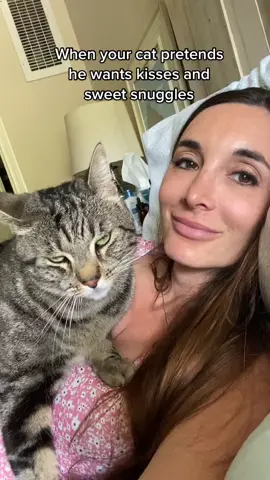 #catlady #catmom #millennialcatmom #millennialcat #soulcat #tabbycat #crazycatlady #catladylife #catladystuff #crazycatmom #rescuecat #rescuecats #rescuecatsoftiktok #rescuecatsoftiktok #catok #cattok #fosterfail #adoptdontshop #catmama #catmamalife #catmamaproblems  #catlover #catlovers #rescuecatlove #sneakycat #sneakycats #sneakycatsoftiktok #catsoftiktok #catsoftheday #catoftheday #catproblems #chonk #chonkycat #chonkycatsoftiktok #chonkster #chonksoftiktok #tabbycat #greytabby #catmomproblems #catmomlife #catmomsoftiktok #catmoms #catnap #napcat #funnycat #funnycatsoftiktok #funnycatvideo #funnycatvideos #comedycat #catcomedy #fy #fyp #foryou #foryoupage #trendingsound #trend #trickedme #youtrickedme
