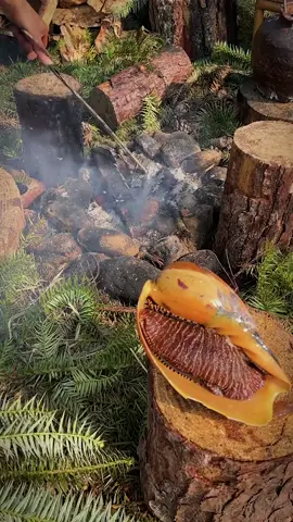 Does anyone know what this is? I won’t be in a fragrant daze if eat it. #outdoorcooking#outdoorsfood#foodporn#seafood#meatlovers #barbecuechallenge#tiktokfoodchallenge#asmrvideo#wildernesschef0 #naturelover#outdoorcooking #fyp