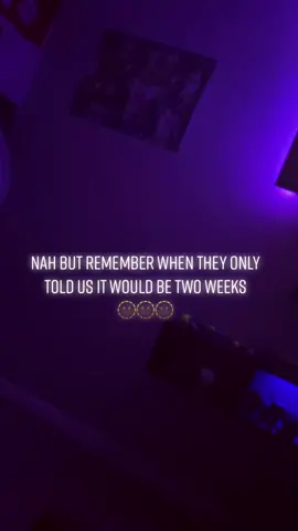 #covid #twoweeks #lies #usa #fypdongggggggg