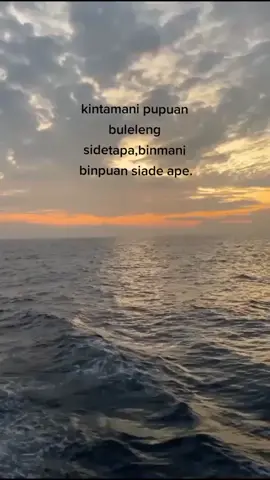 mani puan sng ade ape#lewatfyp #numpangfyp #CaffinoBaristan #fypシ #fypage #fyp#fypdongggggggg  #intinedepanik #foryou #foryou