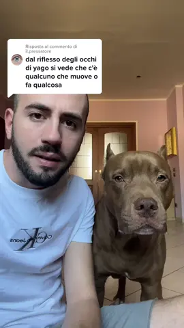 Rispondi a @il.pressatore  E ORA?