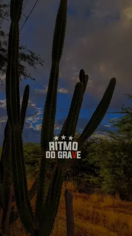Muleque Sonhador ‐ Karllos Vianna • Status WhatsApp #ritmodograve1 #ritmodograve #karllosvianna #mulequesonhador #motivação #piseiro #nordeste #status #tipografia #tipografiasmusicas