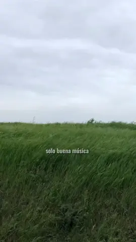 Tuyo Canción de Rodrigo Amarante #tuyo #rodrigoamarante #parati #fyp