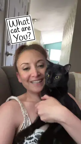 I watched this like 30 times😂😂😂 #fyp #fypシ #foryou #catsoftiktok #trending #cutecat #filter #effect #animals #funny #cat #wtf #wobblycat