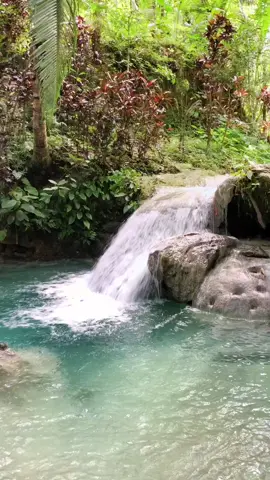 📍Pampam Falls, Dalipuga, Iligan City #fyp #fypシ #fypnature  #foryoupage #fypnatureswonder #naturelove  #nature #waterfalls   #bukid #lanaodelnorte