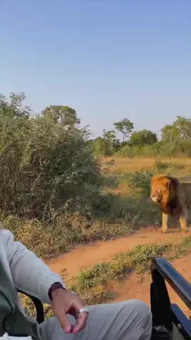 #fyp #trending #viral #viral