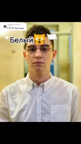 Відповідь на коментар @vredinaco2 Как просили😂❤️У меня новая ава и ник!Не теряйте❤️(старый ник A4_fan_glent_love)#чикипуриоепурипури #командаа4 #а4omg #а4 #Глент #рекомендации