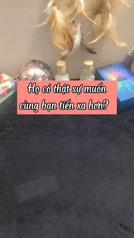 Chúng ta sẽ yêu nhau bao xa? #tarot #thongdieptarot #thongdiepvutru #thongdiepcuocsong #tiemtarotso7 #tarotreader #tarotreading #boibaitarot #thongdieptinhyeu #xuhuong #thongdiep