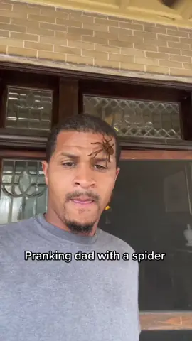 This dad does NOT like spiders 🤣😭 #prank #pranks #prankwars #spiders