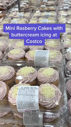 Mini Rasberry cakes at Costco!  #costco #costcofinds #SplashSummerVibe #summervibes #costcodessert