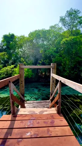 O rio mais cristalino do Brasil 🇧🇷 (Rio Sucuri) #fy #fyp #foryou #foryoupage #turismo #ecoturismo #bonito #ms #brasil #videos #rio #viagem