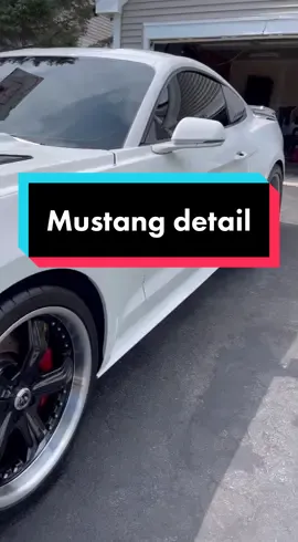 The dopest whip ! #satisfying #asmr #mustang
