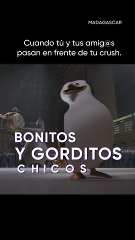 Gordito, ya estoy espero que también me vea bonito. #HBOMaxLA #Madagascar #PinguinosMadagascar #Pinguinos #bonitosygorditos #audio #humor #fyp #parati