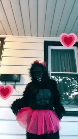 #goviral #Gorilla#dancing#girly#fyp #fypシ゚viral #fypageシ 