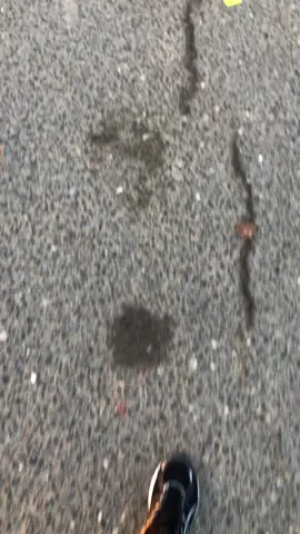 #casis #jogingpagi #fypシ #gafyp