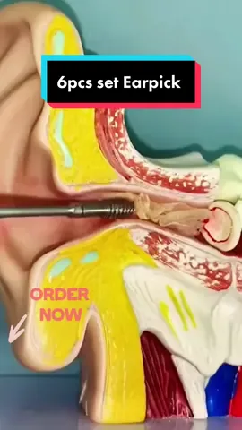 6pcs set earpick with keychain holder #earpick #earwax #tiktokshopbudol #fyp #foryoupage