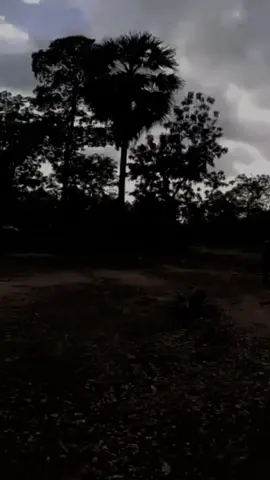 คนที่ใช่ เขาบ่ต้องพยายาม#สตอรี่_ความรู้สึก😔🖤🥀 #เซียนลอดลุ่มน้ําชี #บิวบอง #เซียนหรั่ง #วิถีชีวิตแบบมะลายยายยาก #เหงา