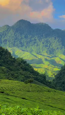 Vẻ đẹp ngút ngàn của Mộc Châu 🏞 #vivumocchau #dulichmocchau #linhmocchau