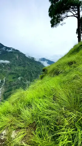 Beautiful nature ❤️rasuwa hometown ❤️