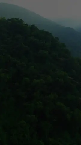 ﴿ الله لطيف بعباده يرزق من يشاء وهو القوي العزيز ﴾ [ الشورى ١٩].#القارئ علي جابر رحمه الله #قران #quran #قران_كريم #القران #قرآن #القرآن