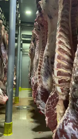 #keşfet #mezbahane #et #etborsası #foryoupag #kesimhane 🥩👍🧿👑