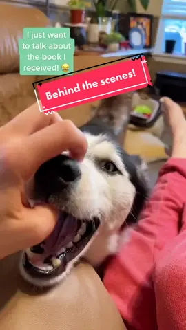 Lupine apparently didn’t want to be left out this morning #booktokbloopers #BookTok #authormail #bookmail #dogsoftiktok #readersoftiktok #readersofbooktok #momswhoread