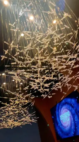 BestBar in the Chinatown area of Chicago has some pretty dope speciality cocktails…. Check em out! #planesandplates #fyp #viralvideo #chicago #chitown #travel #fypシ #fypage #traveltiktok #travelbucketlist #traveling #wander #happyhour #drinks #chicagobars