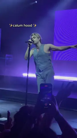 Calum Hood EVERYONE- 🫡 #5sos #wastethenight #5secondsofsummer #calumhood