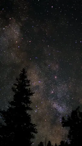 Celestial 🌌 #universe #galaxy #milkyway #stars #night #nightsky #timelapse #space #mood