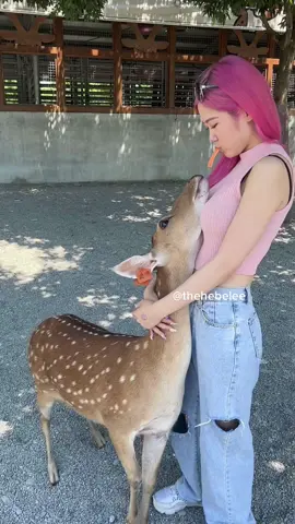 躺著吃站著吃坐著吃💗