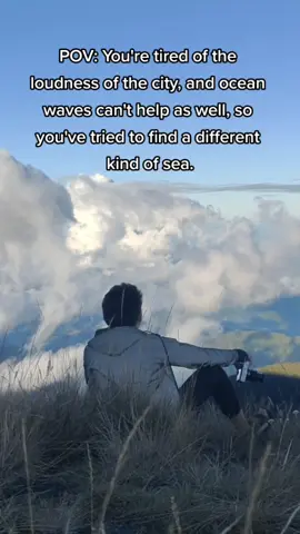 The calmness of the wind from the mountain hits differently. #mountain #seaofclouds #mtpulag #mtpulag #travel