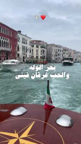 وانت شواطي فرحتي يا ضنيني 🕊❤️                           #راشد_الماجد #fyp