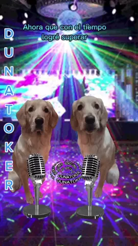 #goldenretriever #mascotastiktok #mascotas #perrostiktokers #perros