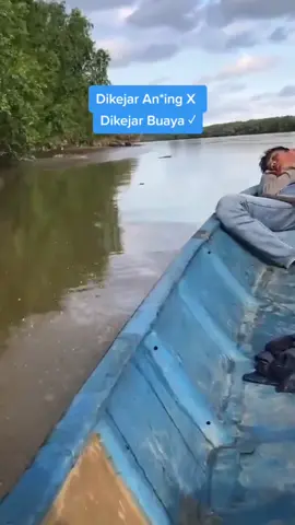 Dikejar guguk ❎Dikejar 🐊 ✅ #tiktokentertainment #tiktoknews