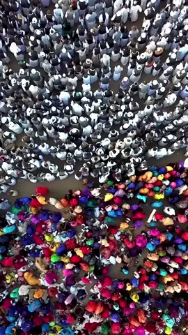 Celebration of “Sitti Mariam” حولية ستي مريم - سنكات (شرق السودان) Sinkat - East Sudan 💙💜❤️  #sinkat #sudan #khartoum #fromwhereidrone #dronephotography #dji #droneoftheday  #dronelife  #karouri #djimavic2pro #trending #viral #instagood #photography #dronereel #dronephotography  #droneoftheday #beautifuldestinations  #fyp #sudanese_tiktok