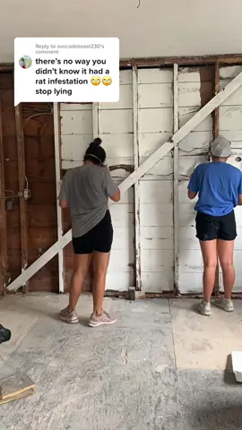 Replying to @avocadotoast230  i would’ve never purchased this house for $328K if i knew 😭 #firsthome #oldhouse #homeissues #storytime #diyhomereno #renovationprogress #diyhomeprojects #diyhouserenovations #homemakeover #ratinfestation #ratproblems #roaches #housebeforeandafter #oldhouserenovation #kitchenremodel #kitchenrenovation #timelapse #housetransformation