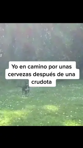 Pinche cruda pero ay voy otravez #BigInkEnergy #SplashSummerVibe #crudo #beertok #sundayfunday #fy #parati #viral