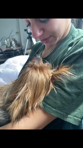 Our baby angels last day - cant wait until we find each other again my sweet boy.