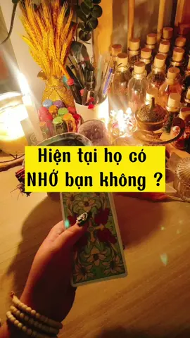 Hiện tại họ có NHỚ đến bạn không ? ✅ #thienyentarot #thienyen_tarot #thienyen #tarot #tarotthienyen #tarotthefox #thefoxtarot #thefox_tarot
