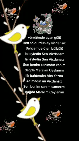 #fypシ #fypシ #fypシ #fypシ #fypシ