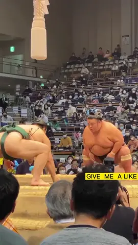 NO：100 When the winner of the sumo match receives the prize money from the referee。ceremonial gesture（tegatana）#sumo#fyp#GymTok#ozeki#japan#foru#fight