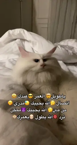 #ياطويل_العمر_عندك_اتصال #هاذي_نظره_وله_رصاصه💔🥺 #اكسبلورexplore #مالي_خلق_احط_هاشتاقات