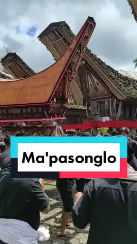 Ma'pasonglo #kete #ketekesutoraja #unik #budaya #daerah #tradisi #nusantara #torajautara #torajatiktok #torajafyppppppシviral #torajafyp #torajasulawesiselatan #rambusolok_adattanatoraja #rambusolo #pestakematiantoraja #makassarhits #unikinfo_id