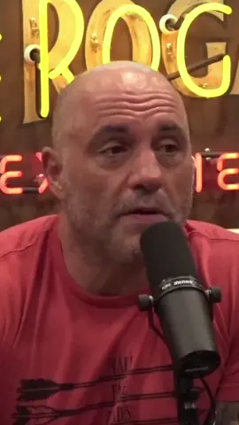 Elon Musk and Underpopulation #jre #joerogan #underpopulation #elonmusk #andrewschulz