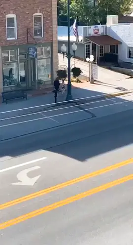 spotted... again... paw-fect #dexterdogouray #dogfunny #doglifelover #dogfriend #funnydogvideosoftiktok #funnypuppyvideos