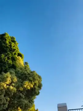 😃❤✌Nice and simple🔥👌@innocent_kamogelo mfanaKa#dancelikerandy #dance #southafrica #dancechallenge #vibes #foryourpage #sadancers #goviral #viral