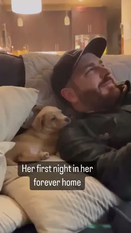 🥲❤️ / 🎥 downriverrowing on reddit