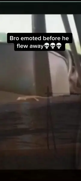 Bro didnt like the music 😵#fypシ #vira #fypシ #vira #lizard #memes #lowqualitymemes #lowquality #funnyasfmemes #fypシ #fyppppppppppppppppppppppp #baseboosted🔥🔥 #basebooted #fypシ #blowthisup #fupシ #dontletthisflop #fupシ #viral_video #vira #fo4upage #fo4upage🥰🥰🥰 #famosos #fypシ #BigInkEnergy #viralvideo #fupシ